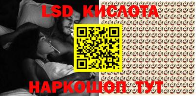 дмт Краснодар